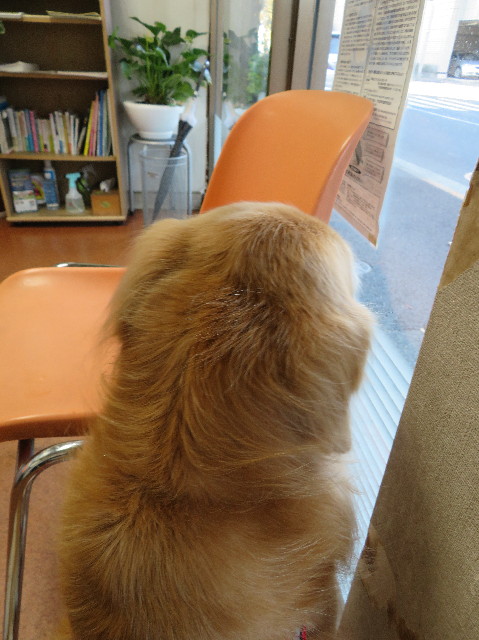 ファイル 6040-2.jpg