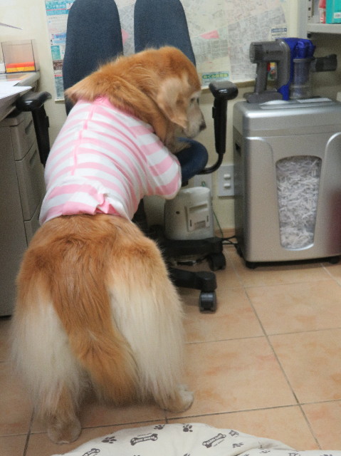 ファイル 6045-5.jpg