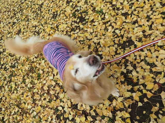 ファイル 6046-3.jpg