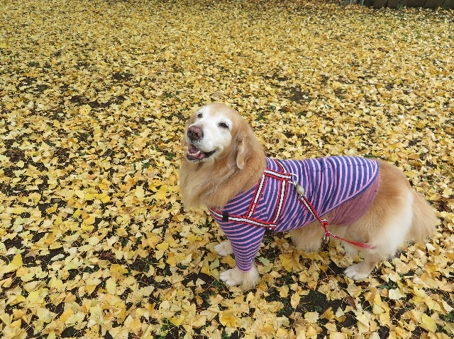 ファイル 6046-5.jpg