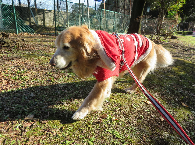 ファイル 6048-2.jpg