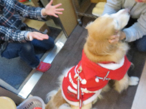 ファイル 6049-1.jpg