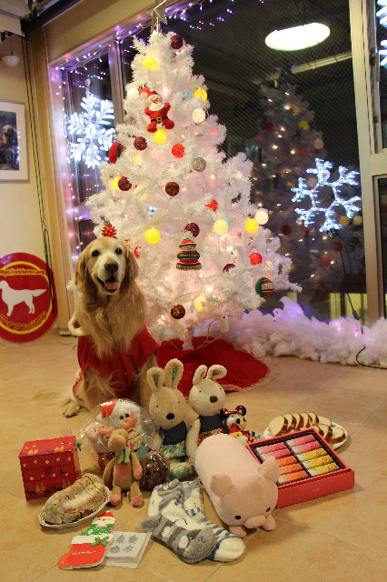 ファイル 6049-3.jpg