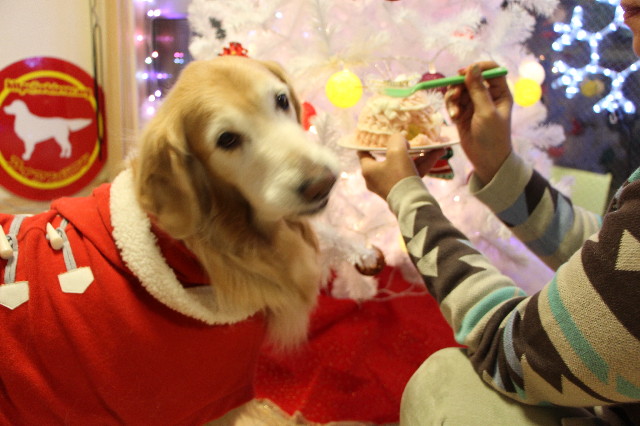 ファイル 6050-3.jpg