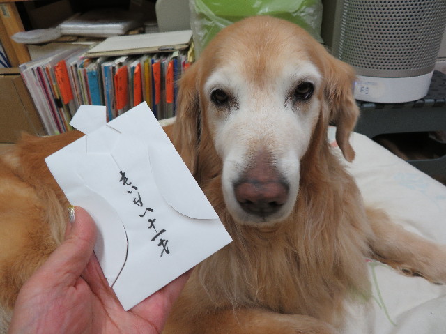 ファイル 6055-2.jpg