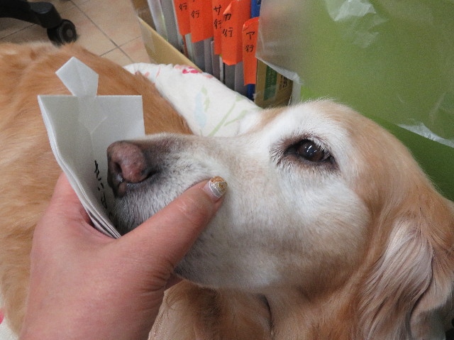 ファイル 6055-4.jpg