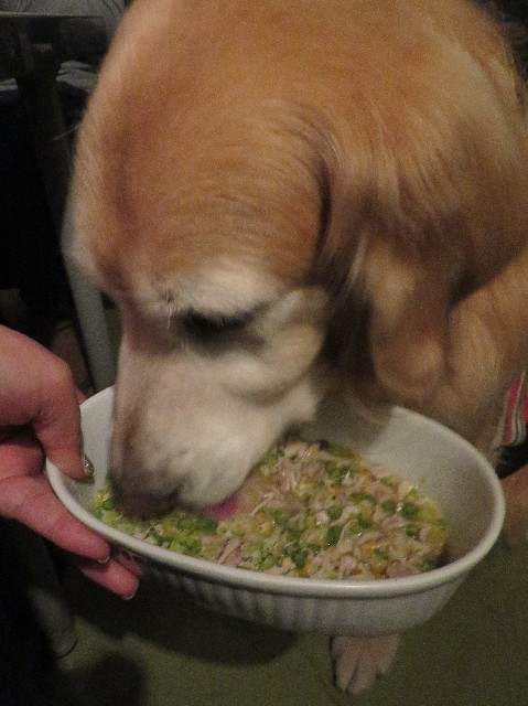 ファイル 6058-2.jpg