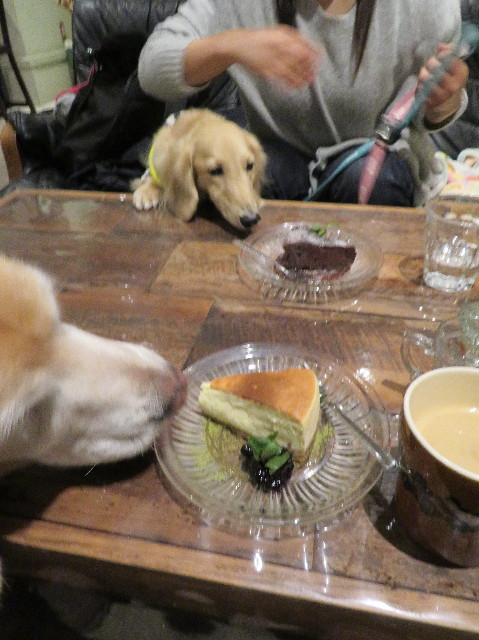 ファイル 6058-5.jpg