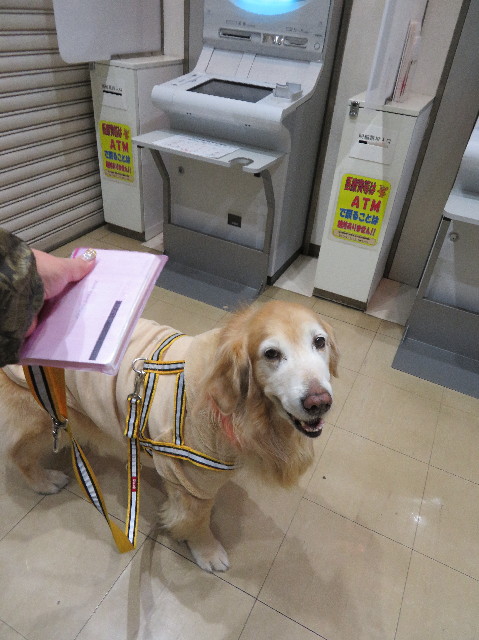 ファイル 6059-3.jpg