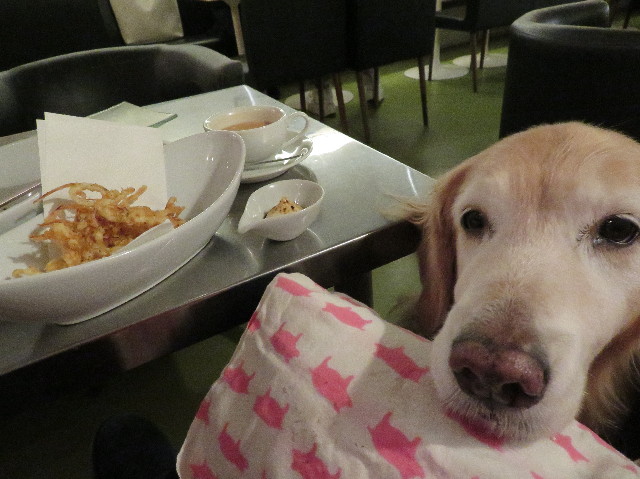 ファイル 6065-3.jpg