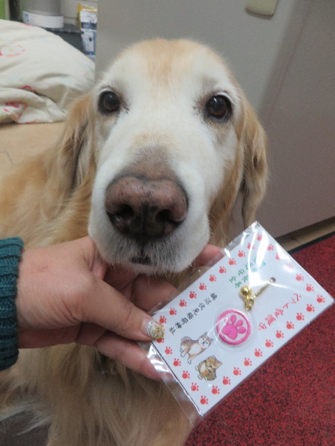 ファイル 6067-4.jpg