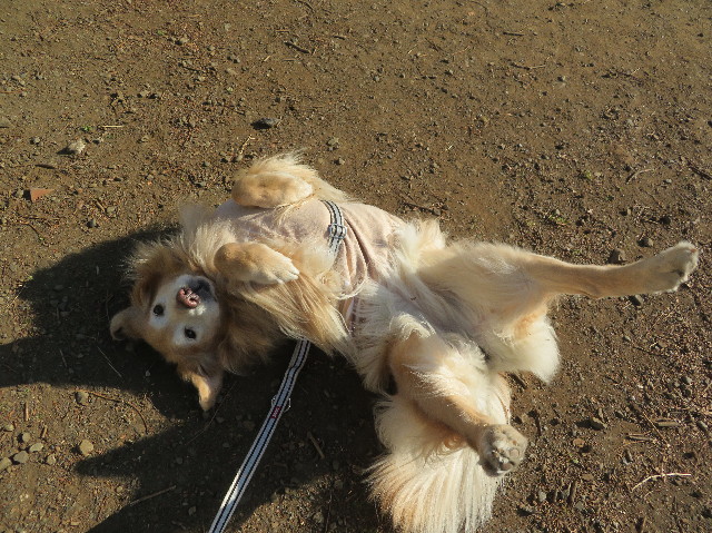 ファイル 6068-2.jpg