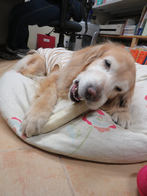 ファイル 6068-5.jpg