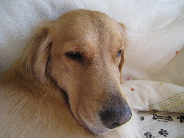 ファイル 607-5.jpg