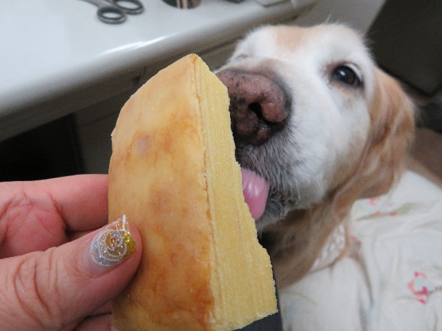 ファイル 6070-1.jpg