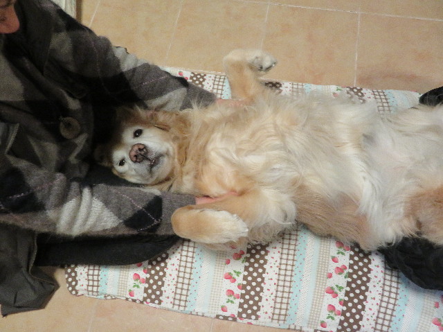 ファイル 6070-5.jpg