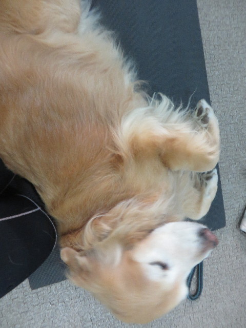 ファイル 6072-2.jpg