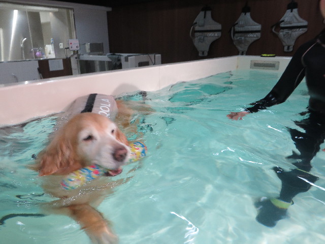 ファイル 6072-3.jpg