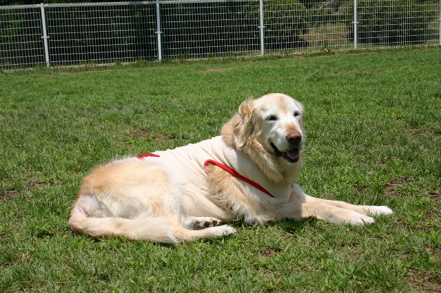 ファイル 6074-1.jpg