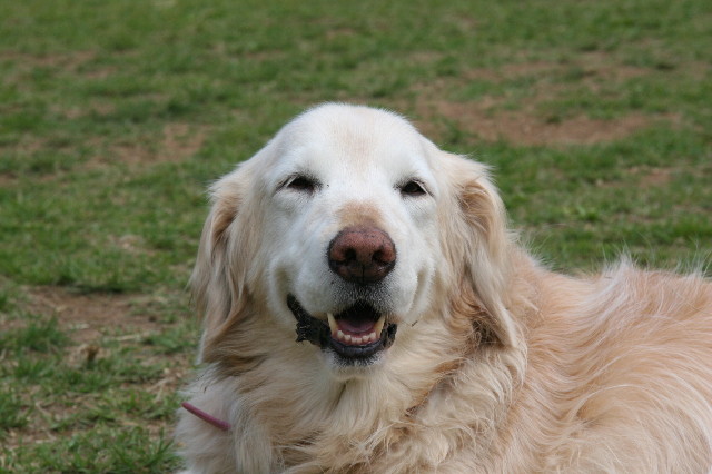 ファイル 6074-3.jpg