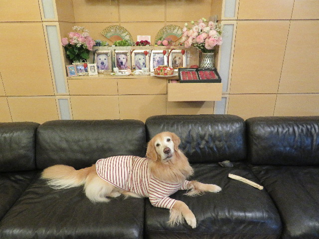 ファイル 6074-5.jpg