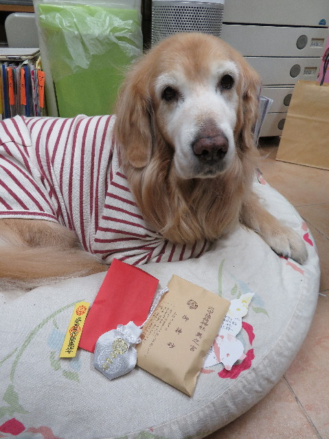 ファイル 6075-1.jpg