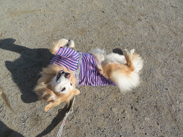 ファイル 6075-5.jpg