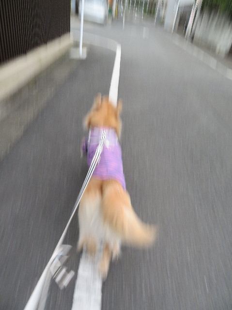 ファイル 6076-4.jpg