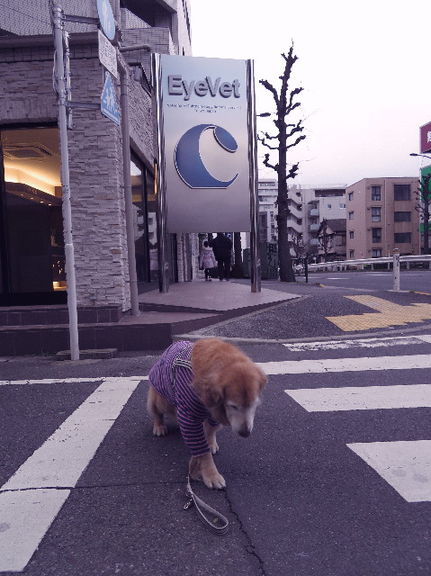 ファイル 6077-1.jpg