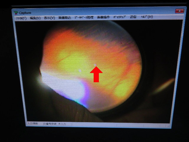 ファイル 6077-2.jpg