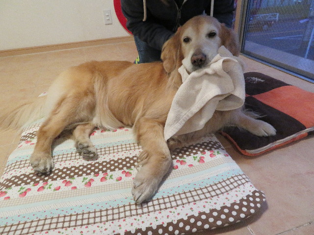 ファイル 6077-5.jpg