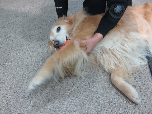 ファイル 6080-1.jpg