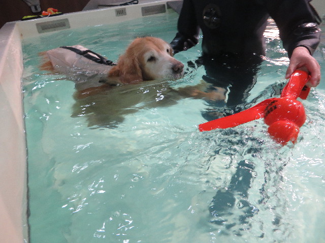 ファイル 6080-3.jpg