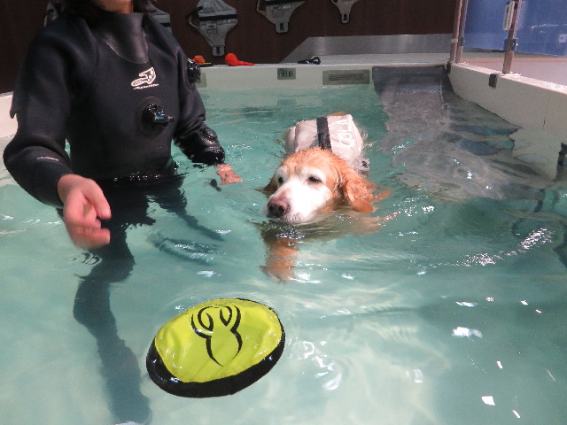 ファイル 6080-4.jpg