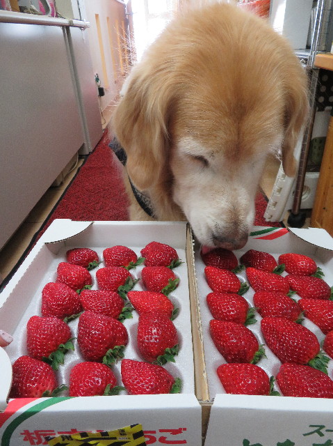 ファイル 6081-5.jpg