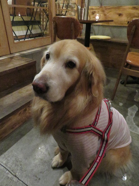 ファイル 6082-1.jpg