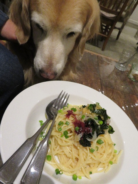 ファイル 6082-5.jpg