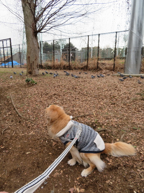 ファイル 6083-2.jpg