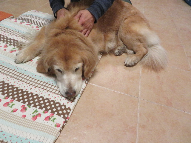 ファイル 6083-3.jpg