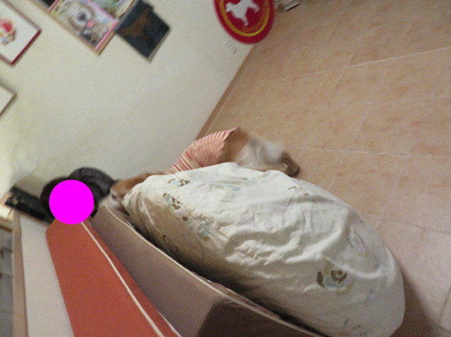 ファイル 6084-5.jpg