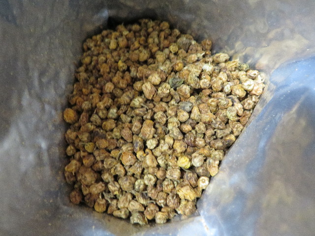 ファイル 6089-1.jpg