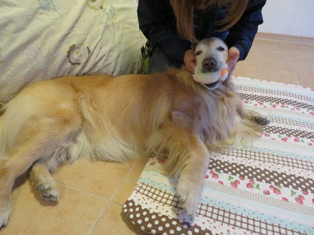 ファイル 6089-4.jpg