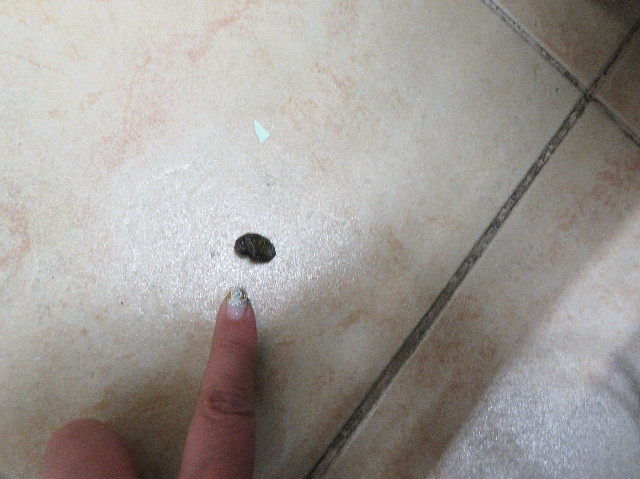 ファイル 6091-2.jpg