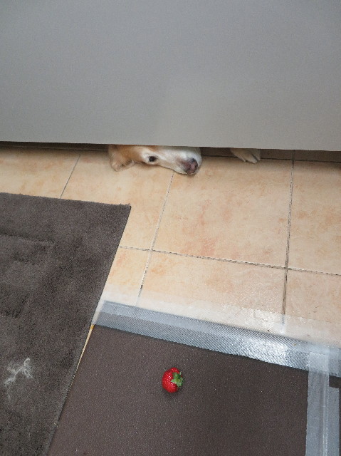 ファイル 6091-3.jpg