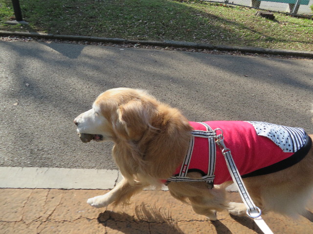 ファイル 6091-5.jpg