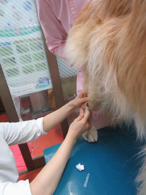 ファイル 6094-2.jpg