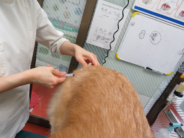 ファイル 6094-3.jpg