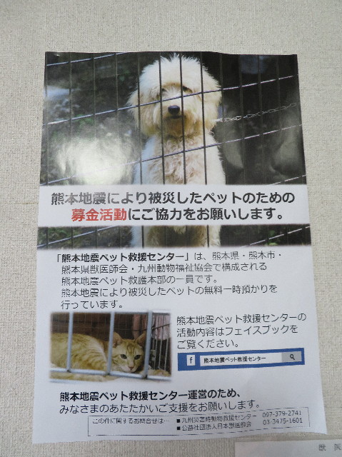 ファイル 6094-5.jpg