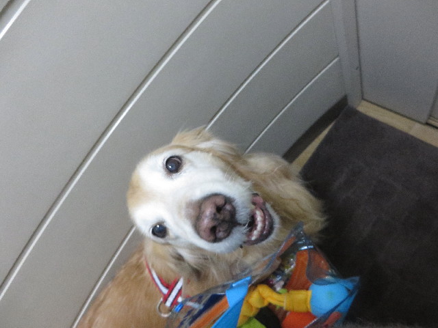 ファイル 6095-1.jpg