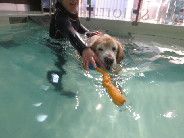 ファイル 6095-3.jpg